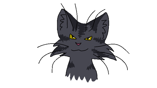 hexen katze willkommen